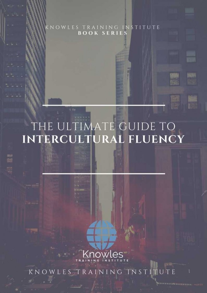 Intercultural Fluency Book