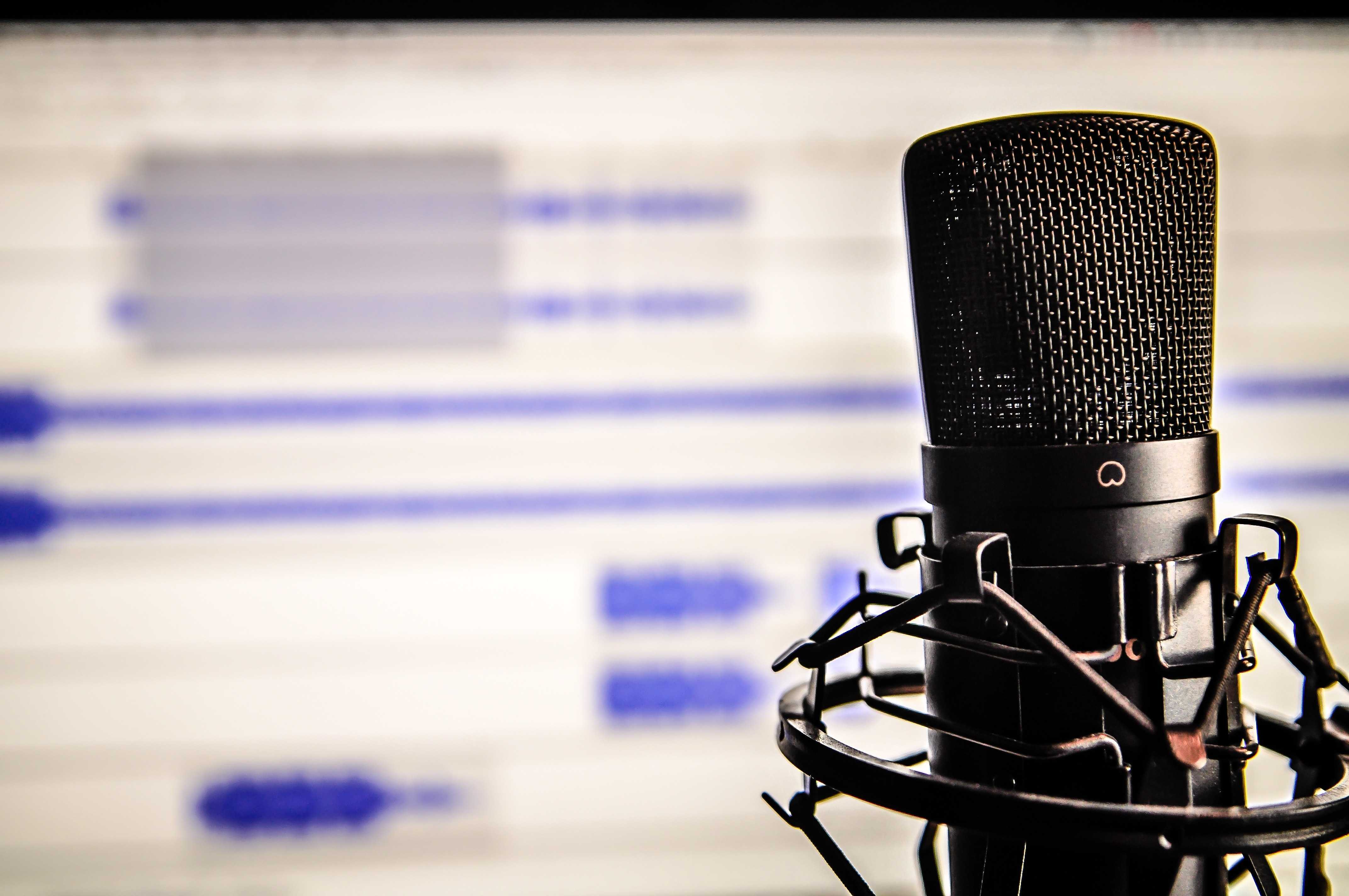 Professional Voice Over Services