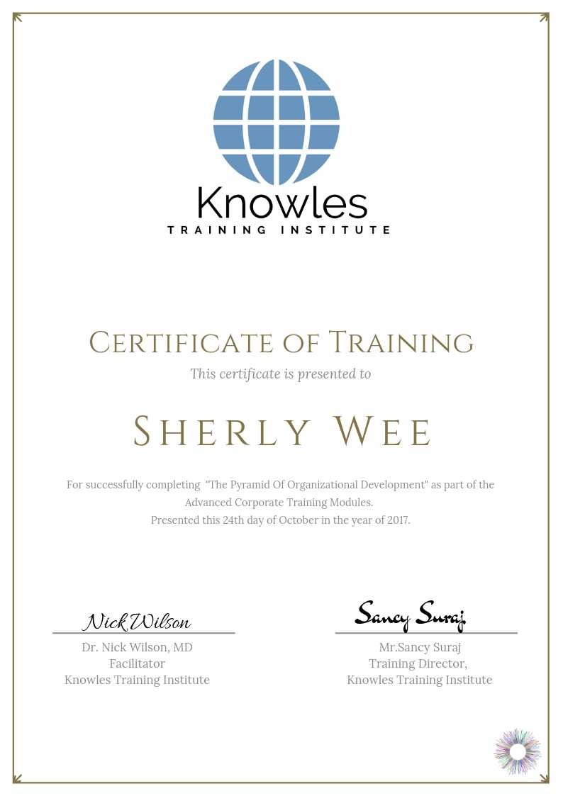 The Pyramid Of Organizational Development Certificate